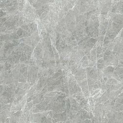 Coliseum Gres Canova Керамогранит 610010005763 Grey Rett. 60х60