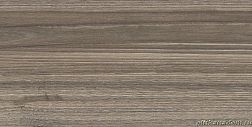 New Trend Retro Essense Brown WT9ESS08 Настенная плитка 24,9x50