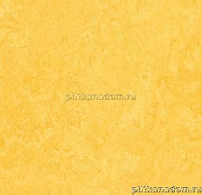 Forbo Marmoleum Click Square 333251 Lemon Zest Виниловая плитка 300х300