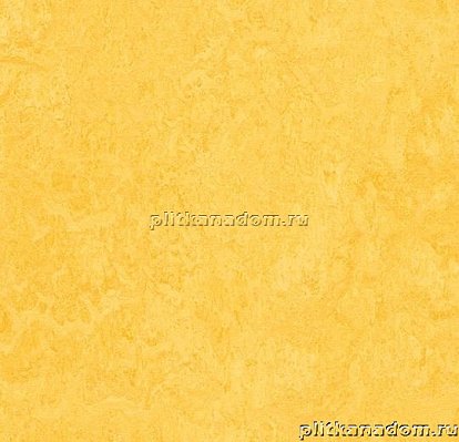 Forbo Marmoleum Click Square 333251 Lemon Zest Виниловая плитка 300х300