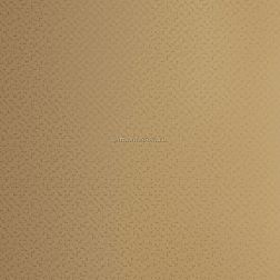 Settecento Aguas Керамогранит 118403 Plain Terracotta 90x90