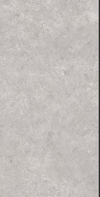 Neodom Grand Classic Tokyo Grey Polished Серый Полированный Керамогранит 80x160 см