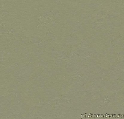 Forbo Marmoleum Walton Cirrus 3355 rosemary green Линолеум натуральный 2,5 мм