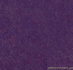 Forbo Marmoleum Real 3244 purple Линолеум натуральный 3,2 мм