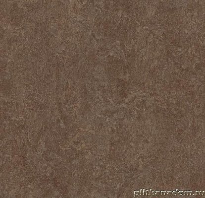 Forbo Marmoleum Fresco 3874 walnut Линолеум натуральный 2 мм