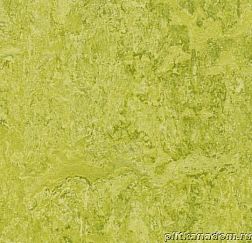 Forbo Marmoleum Real 3224 chartreuse Линолеум натуральный 4 мм