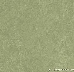 Forbo Marmoleum Real 3240 willow Линолеум натуральный 3,2 мм