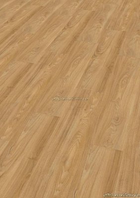 ПВХ плитка Wineo 400 wood Summer Oak Golden MLD00118