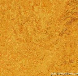 Forbo Marmoleum Real 3125 golden sunset Линолеум натуральный 2,5 мм