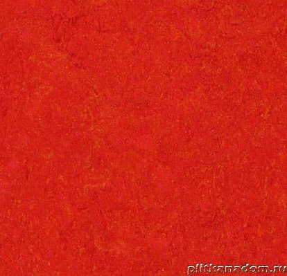 Forbo Marmoleum Real 3131 scarlet Линолеум натуральный 2,5 мм