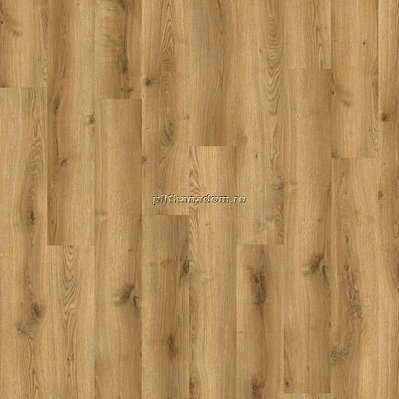 SPC Ламинат IVC ADELAR SPC Solida Acoustic Traditional Oak 03826LA