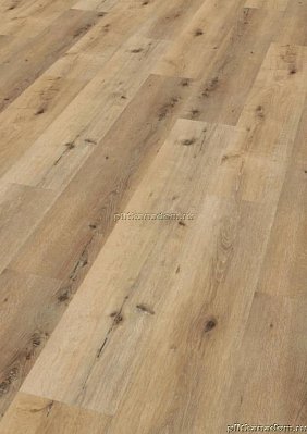 ПВХ плитка Wineo 800 wood XL Дуб кукурузный деревенский DLC00064