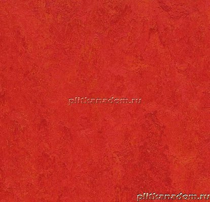 Forbo Marmoleum Click Square 333131 Scarlet Виниловая плитка 300х300