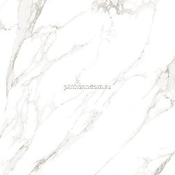 Primavera Omnia Керамогранит PR136 White polished 60x60