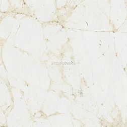 Coliseum Gres Canova Керамогранит 610010005761 White Rett. 60х60