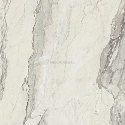 Coliseum Gres Canova Керамогранит 610010005762 Sand Rett. 60х60