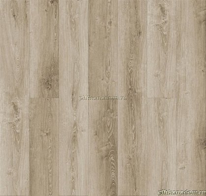 Royce Quartz-Step SPC Дуб Сахара Q 503 42 класс Виниловый ламинат 1200x180x3,5