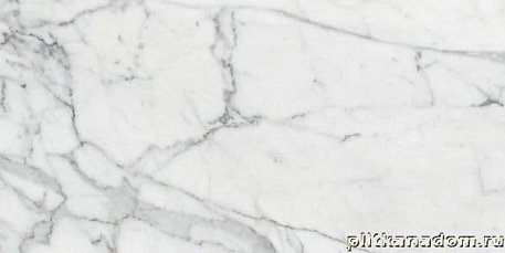 Kerranova Marble Trend Carrara K-1000-MR-S1 Керамогранит 30x60 см
