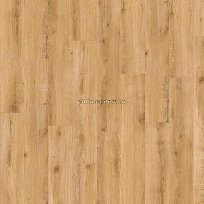 SPC Ламинат IVC ADELAR SPC Solida Acoustic European Oak 04270LA