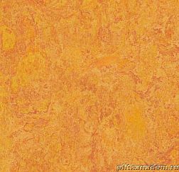 Forbo Marmoleum Real 3226 marigold Линолеум натуральный 2 мм