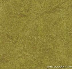 Forbo Marmoleum Real 3239 olive green Линолеум натуральный 3,2 мм