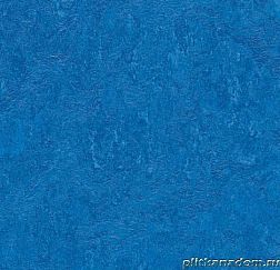 Forbo Marmoleum Real 3205 lapis lazuli Линолеум натуральный 2,5 мм