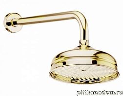 Webert Shower Set AC0014010 Верхний душ с кронштейном (золото)