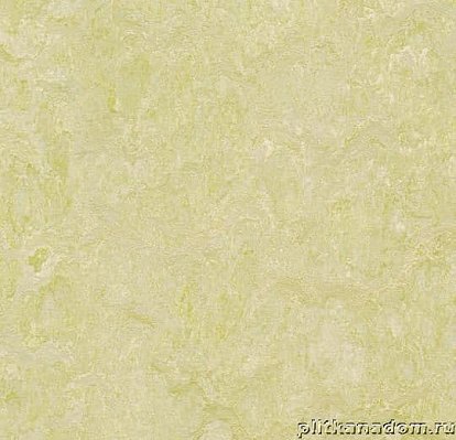 Forbo Marmoleum Fresco 3881 green wellness Линолеум натуральный 2,5 мм
