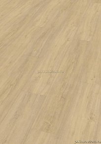 ПВХ плитка Wineo 400 wood XL Kindness Oak Pure MLD00125