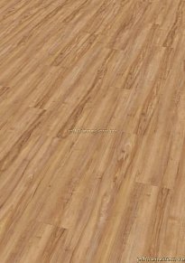 ПВХ плитка Wineo 800 wood Клен медовый теплый DB00081