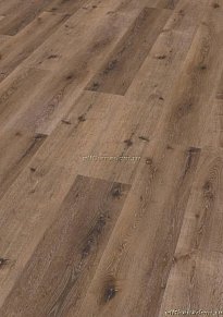 ПВХ плитка Wineo 800 wood XL Дуб болотный рустик DB00063