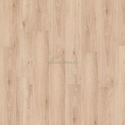 SPC Ламинат IVC ADELAR SPC Eterna Acoustic Chapman Oak 05321LG